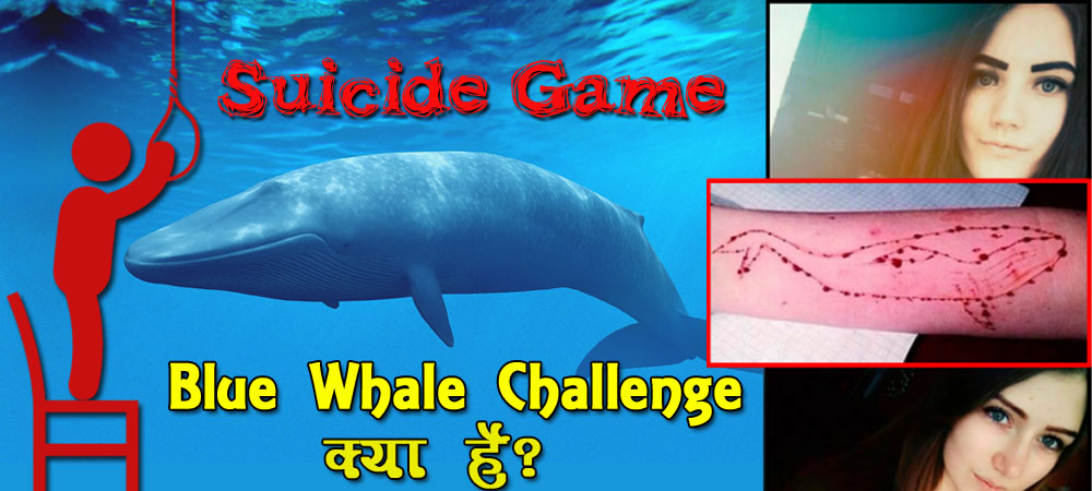 suicide game blue whale challenge